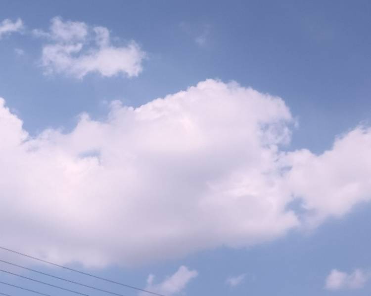 艺人背景图