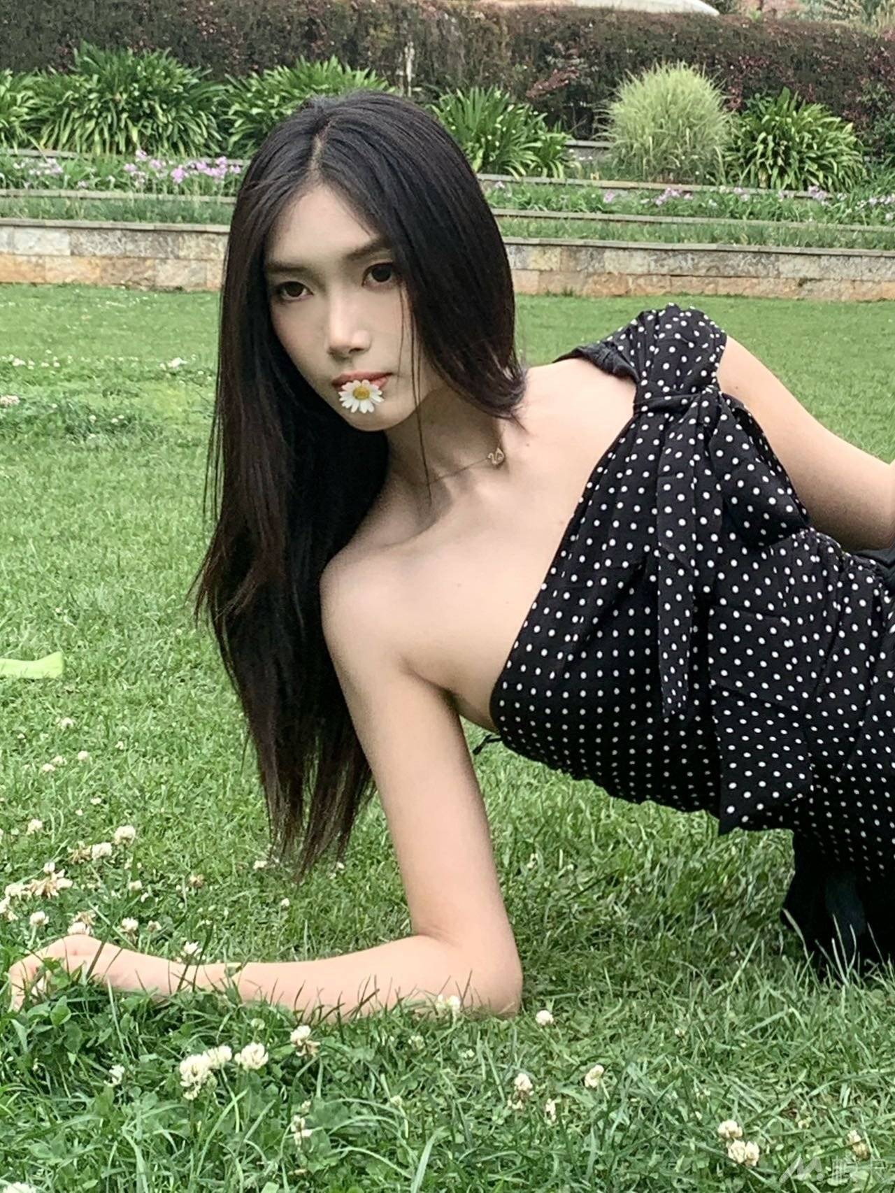 作品图片