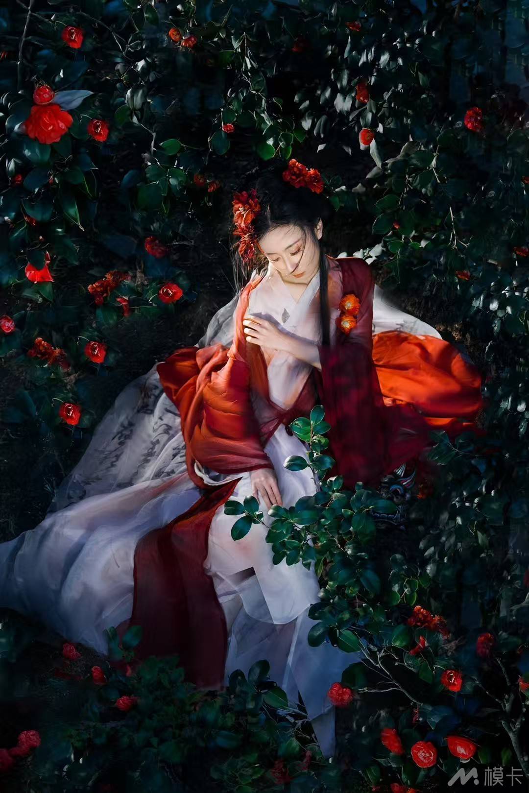作品图片