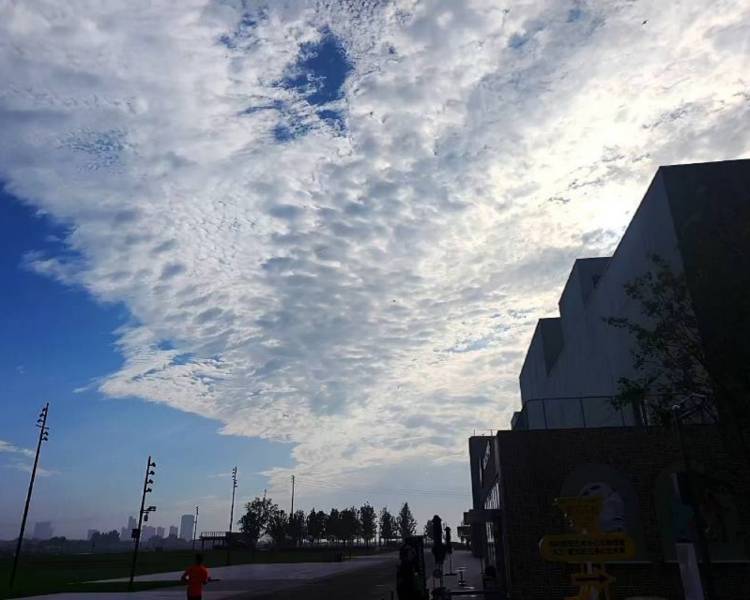 艺人背景图