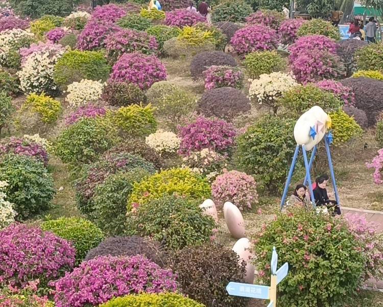 艺人背景图