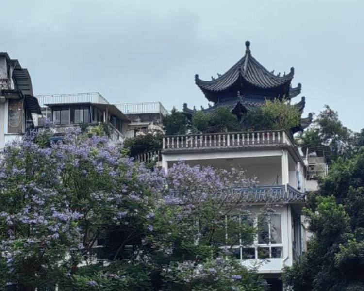 艺人背景图