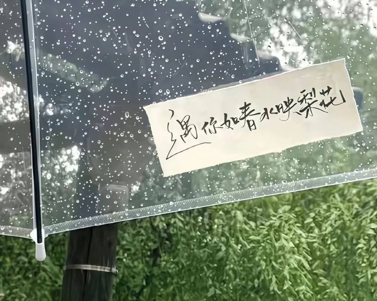 艺人背景图