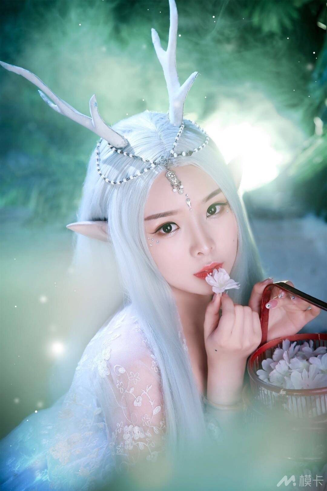 作品图片