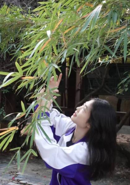 形象照片