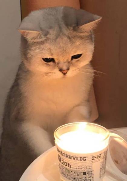 推荐艺人