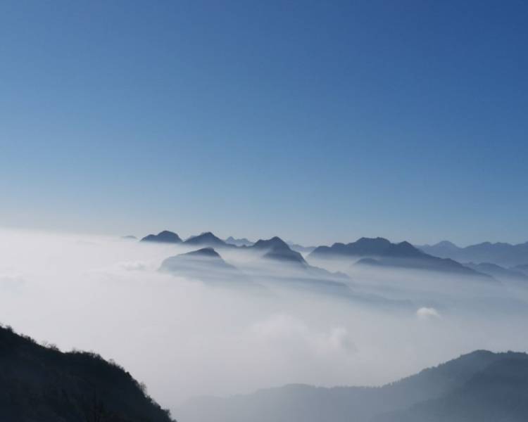艺人背景图