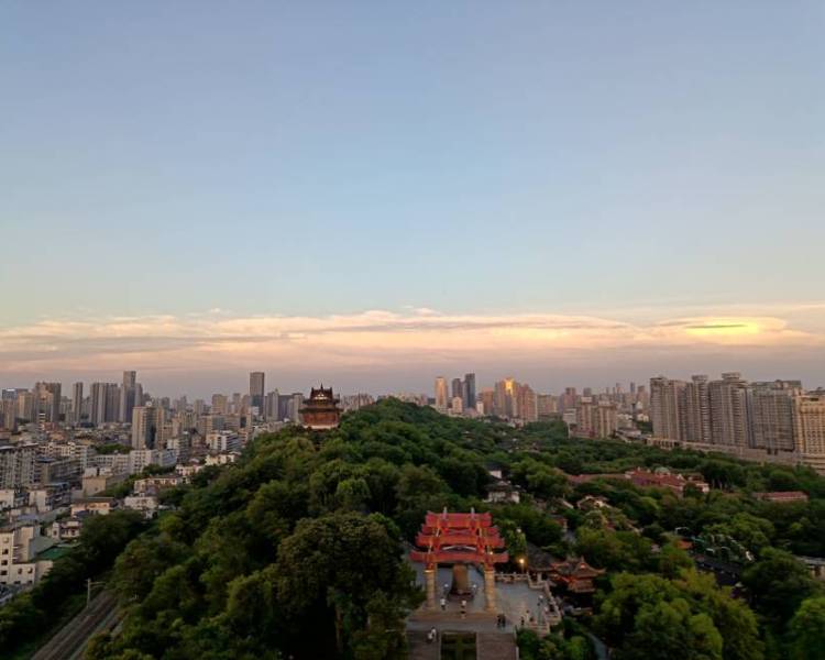 艺人背景图