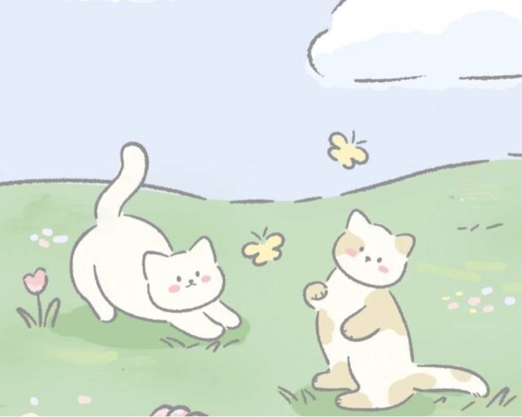 艺人背景图