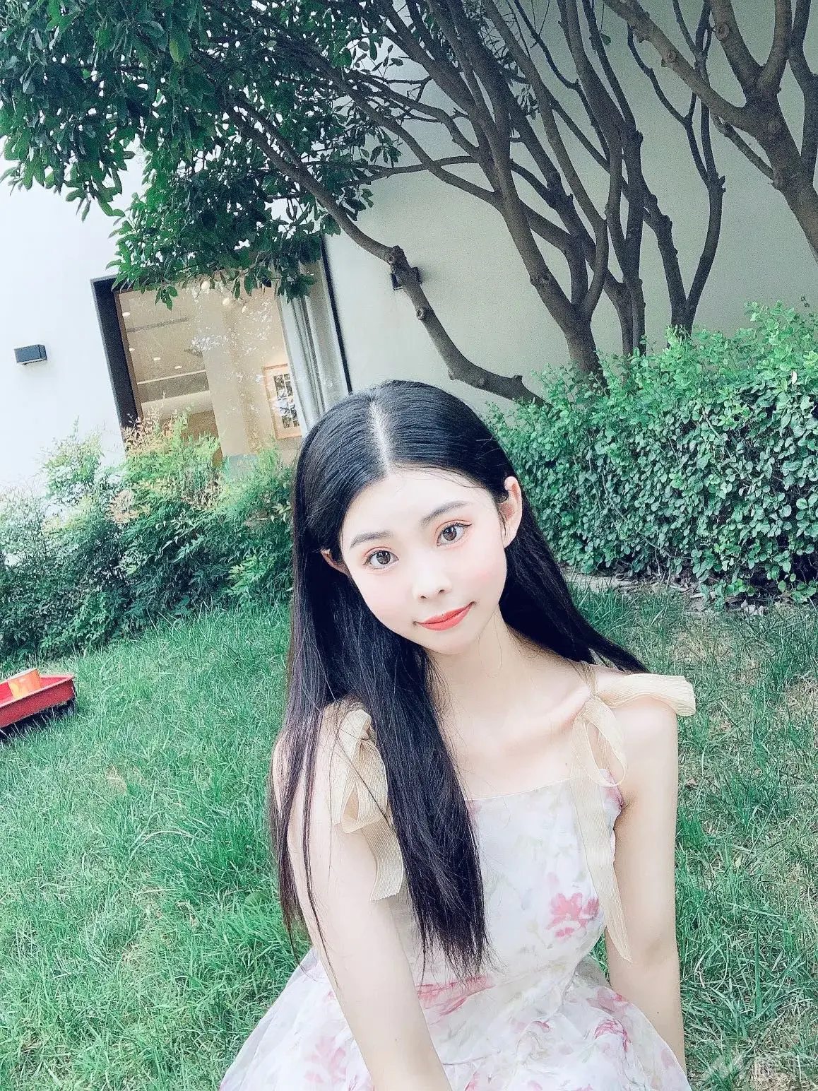作品图片