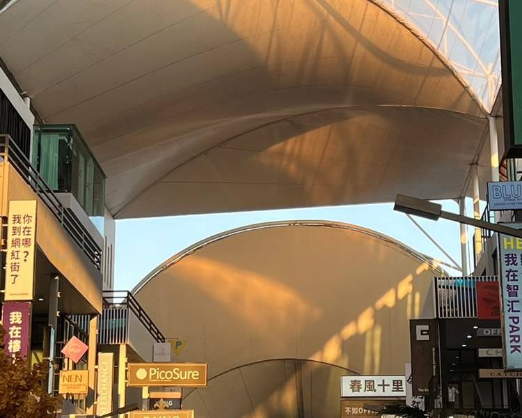 艺人背景图