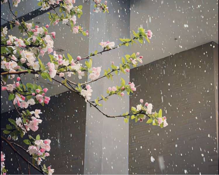 艺人背景图