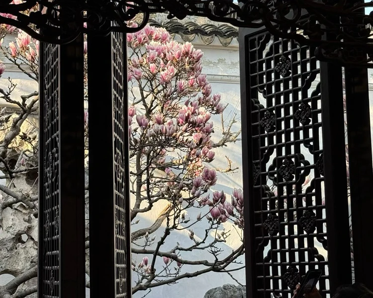 艺人背景图