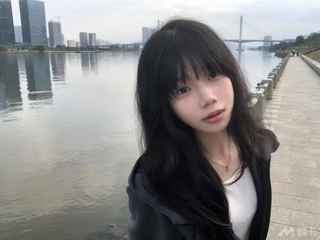 作品图片