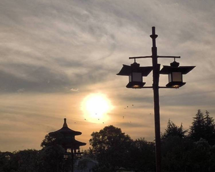 艺人背景图