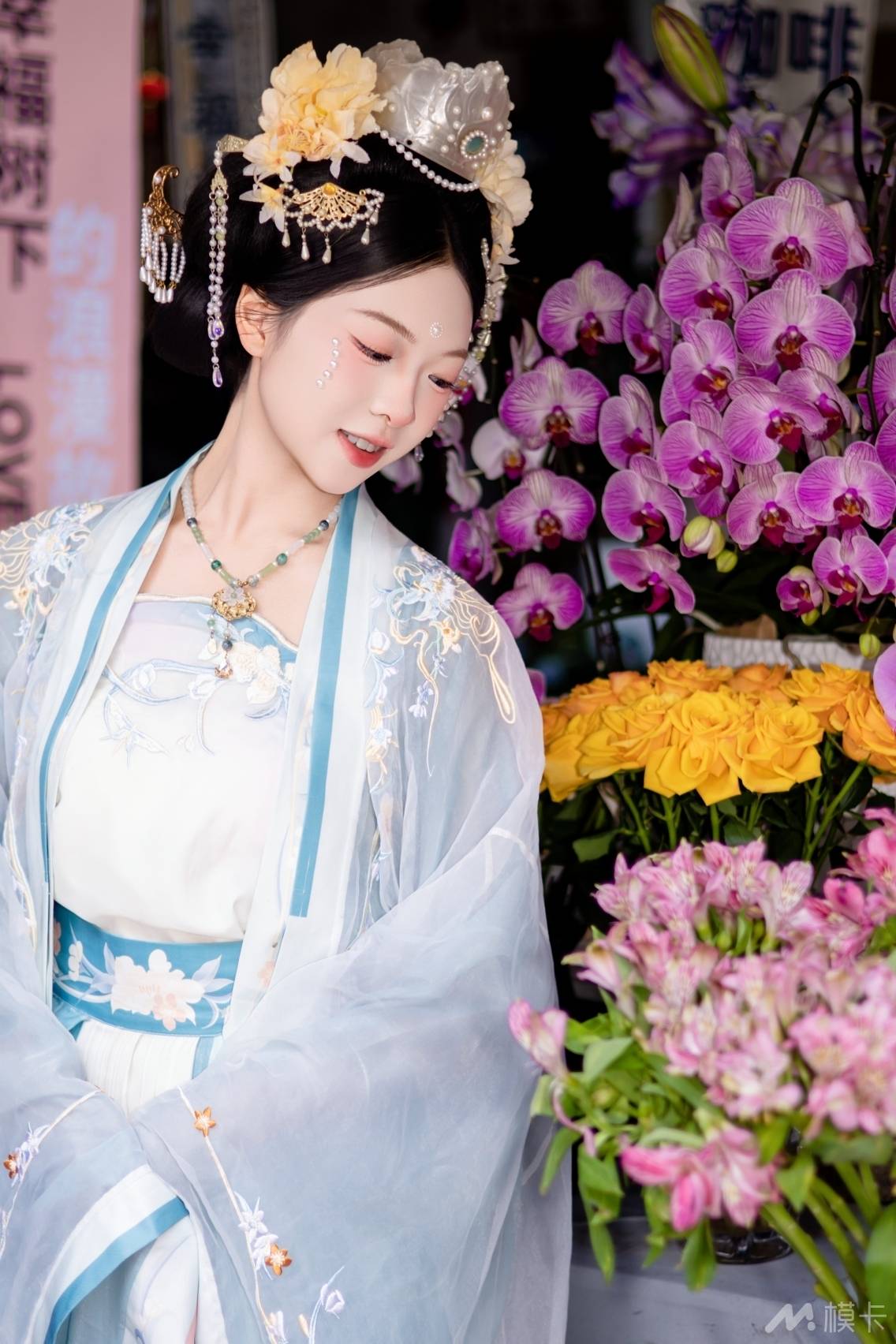 作品图片