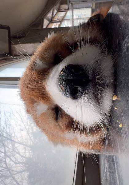 推荐艺人