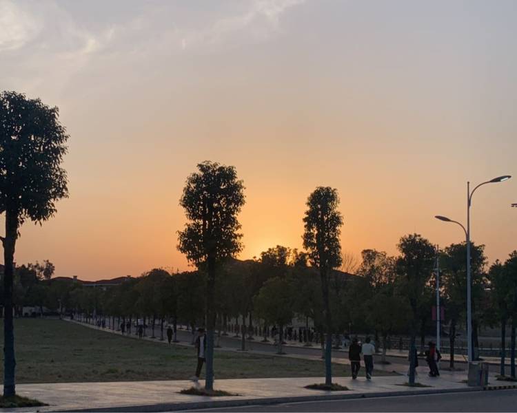 艺人背景图