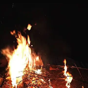 经历图片
