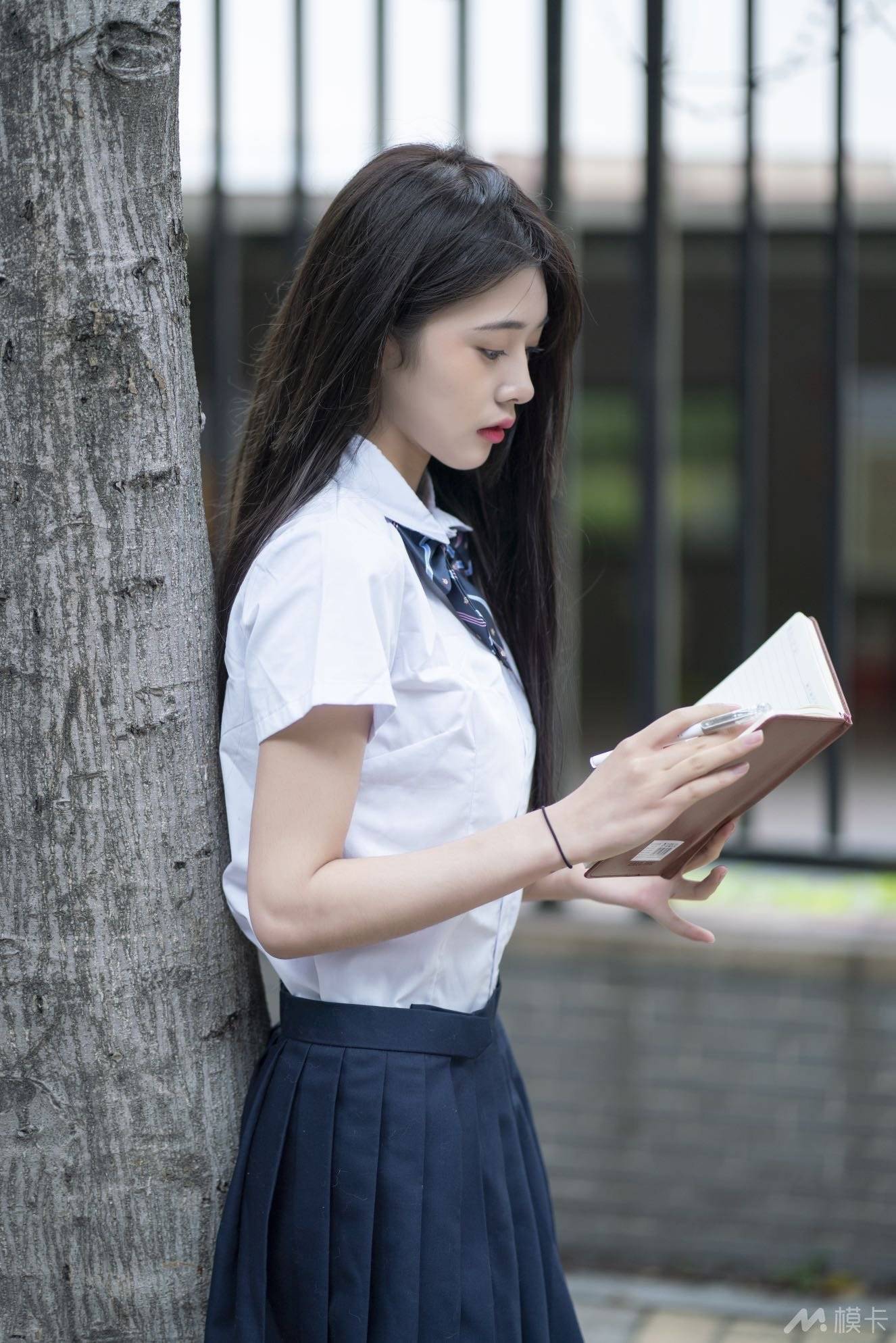 作品图片