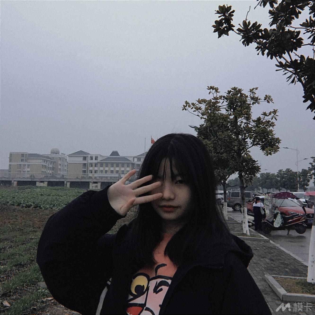 作品图片