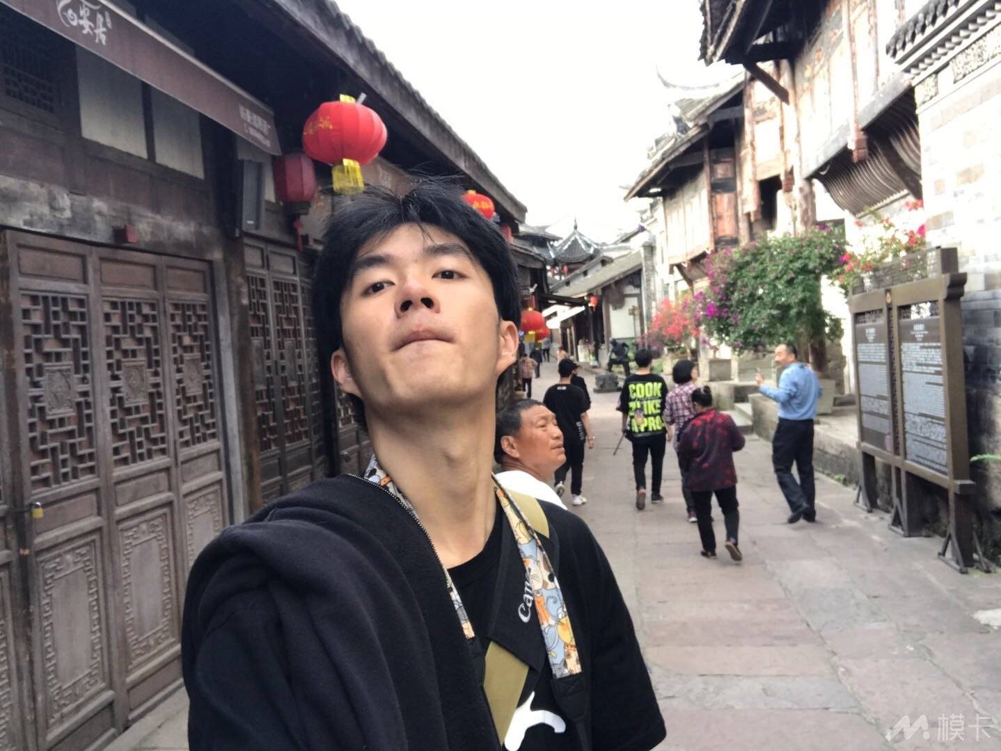 作品图片