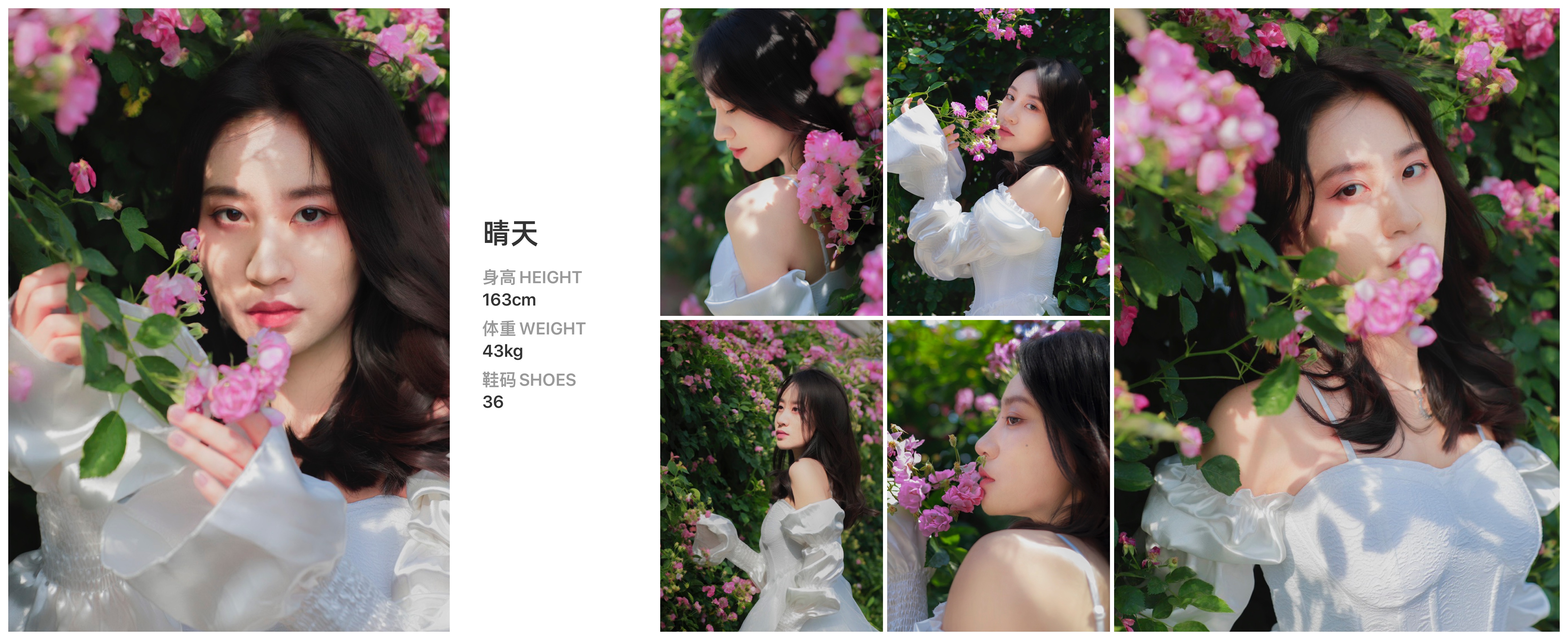 红人通告