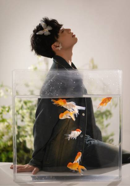 形象照片