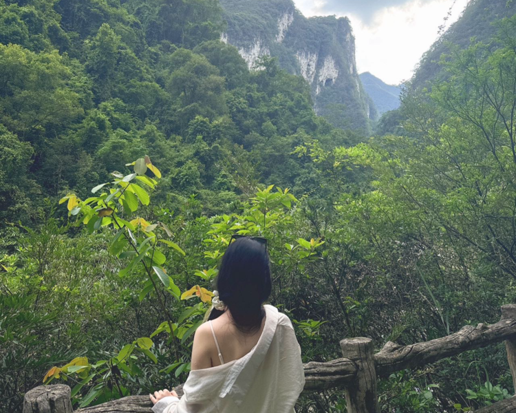 艺人背景图
