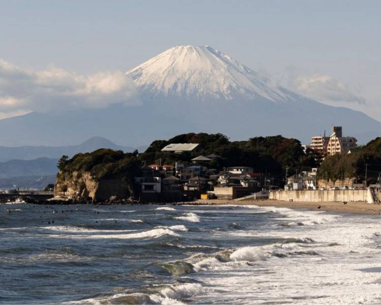艺人背景图