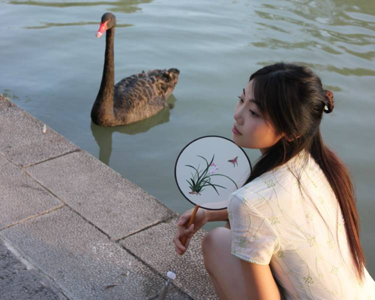 艺人背景图