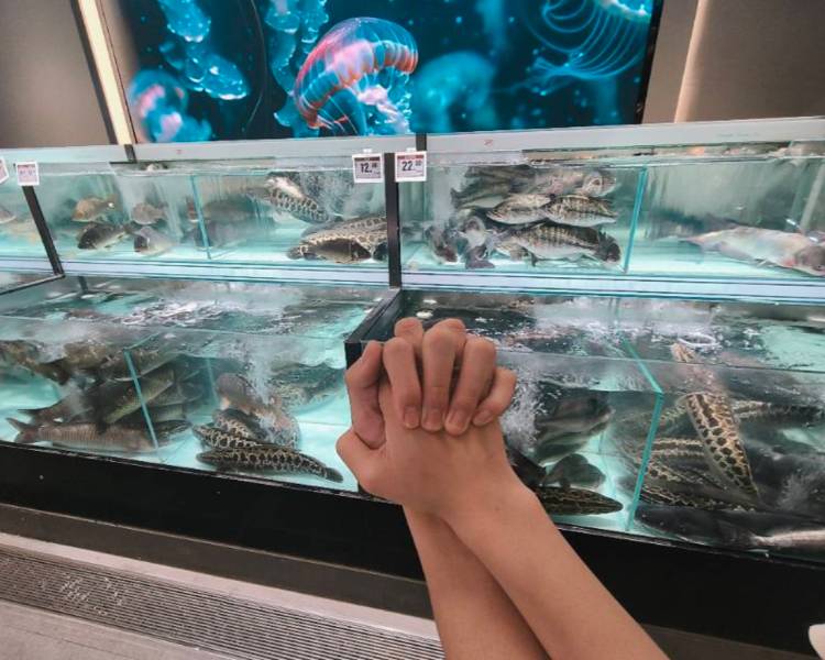 艺人背景图