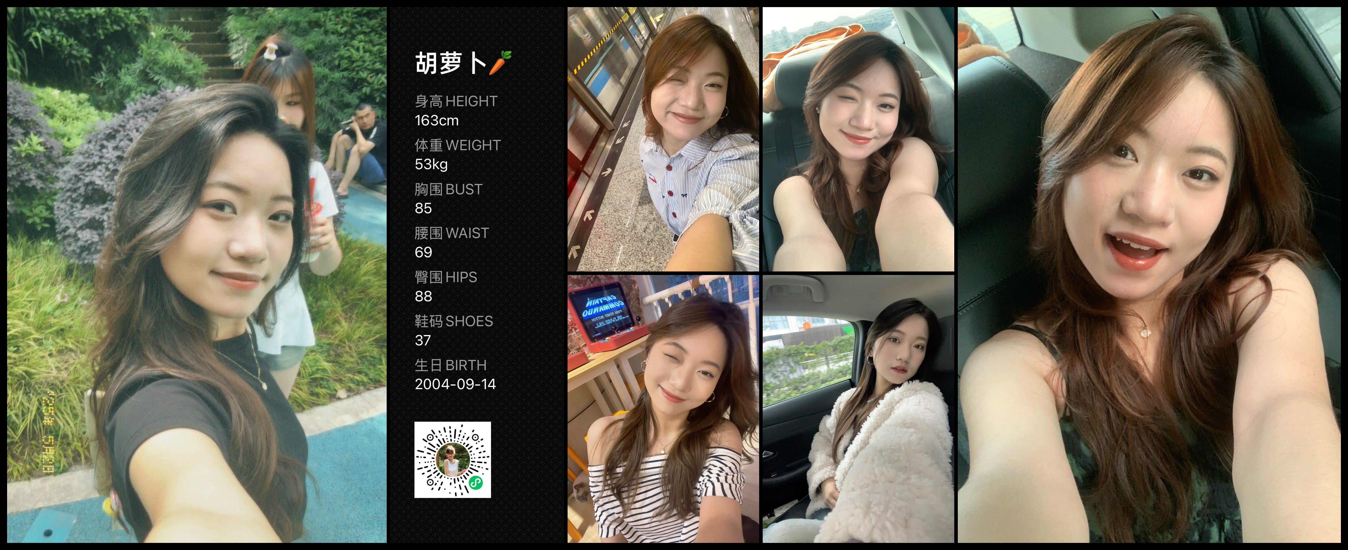 模卡