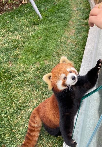 推荐艺人