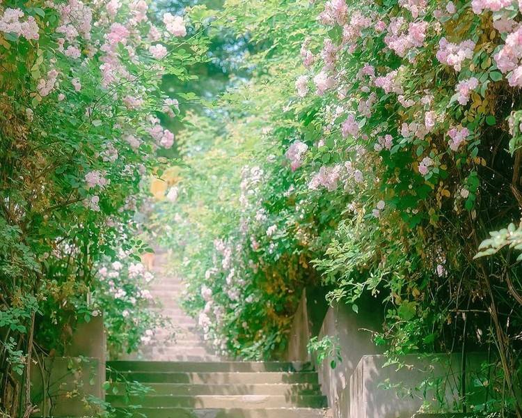 艺人背景图