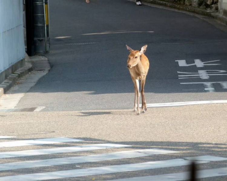 艺人背景图