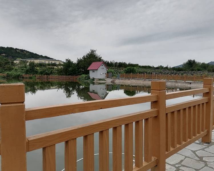 艺人背景图
