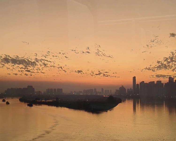 艺人背景图