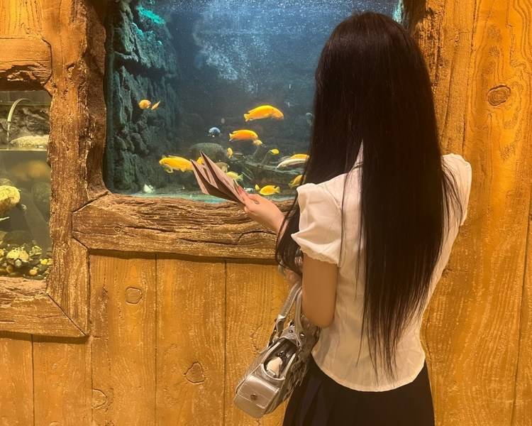 艺人背景图