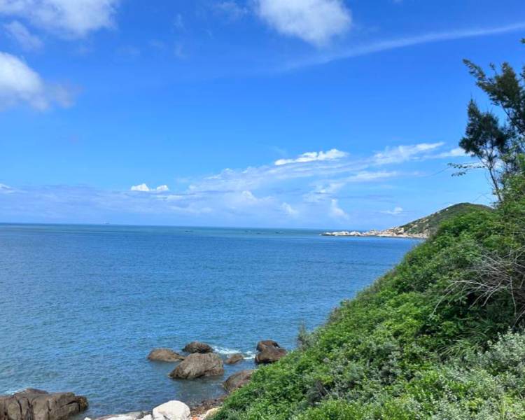 艺人背景图