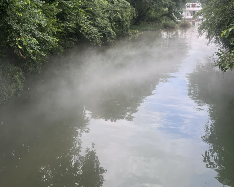 艺人背景图