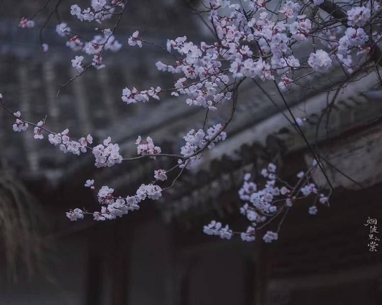 艺人背景图