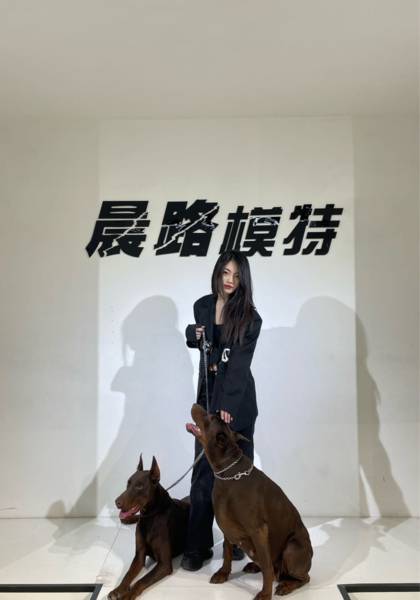 形象照片