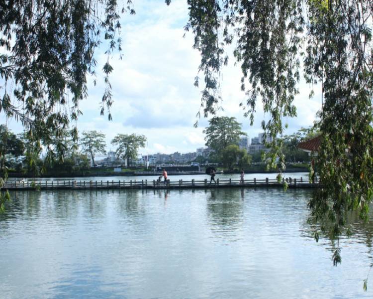 艺人背景图