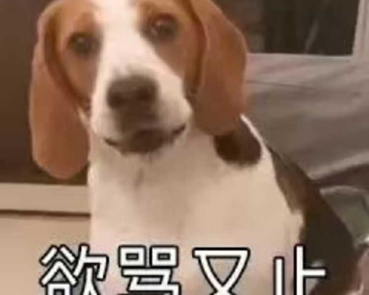 艺人背景图