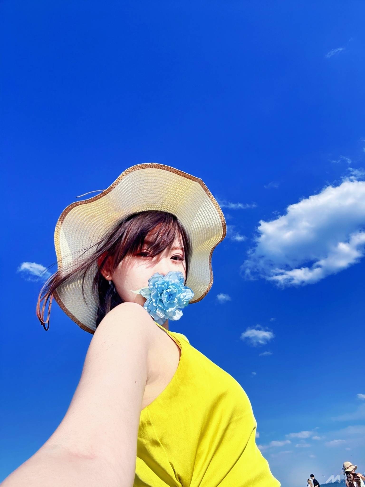 作品图片