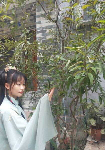 形象照片