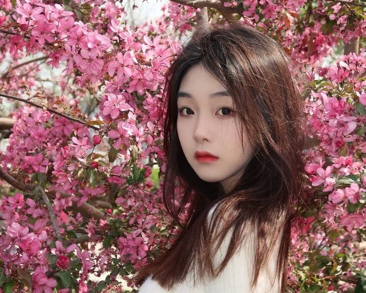 艺人背景图