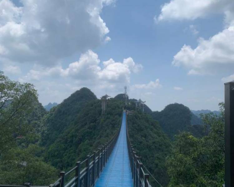 艺人背景图