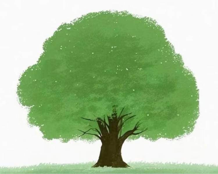 艺人背景图